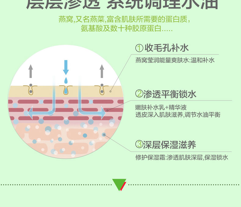 美延雅燕窩奢養(yǎng)補水套裝 美延雅燕窩奢養(yǎng)補水套裝8