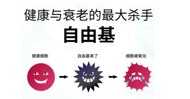 自由基的危害 玻尿酸的作用與功效有哪些?