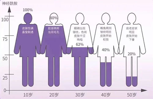 神經酰胺在不同年齡層的皮膚含量 角質層的作用有哪些?